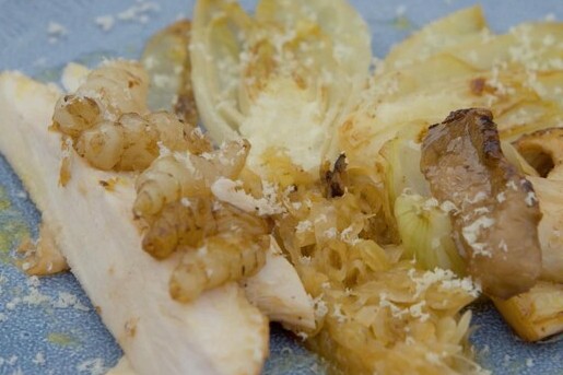 Alain kookt met vers geoogste witlof