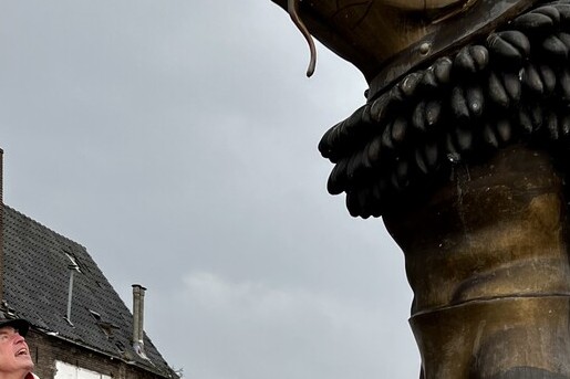 De VisMan in Deventer