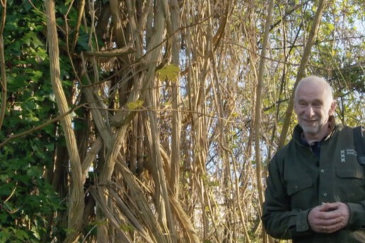 Ecoloog Fred Haaijen laat zien hoe dieren de stad in en uitkomen