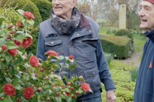 Betoverende Camellia’s