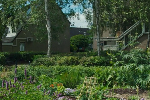 Openbare moestuin in Vlaardingen