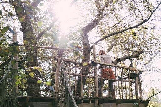 Boomhut walhalla Groningen