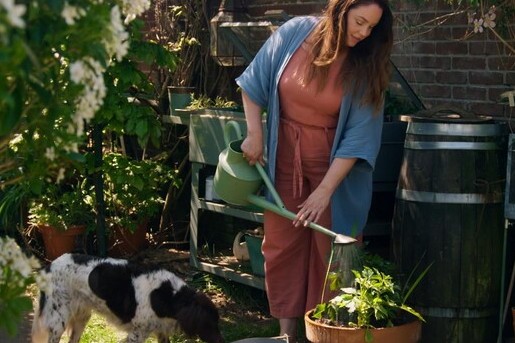 Anne Wieggers haalt de citroenen uit de kas