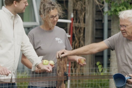 Theo-Bert bij de ezelsopvang