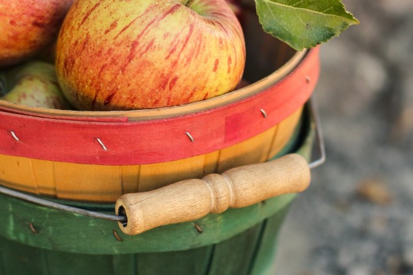 Appel | Foto: Pexels