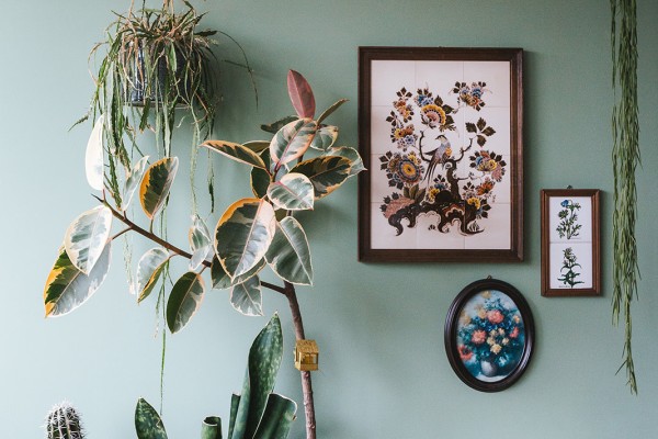 Urban Jungle Dordrecht | Fotografie: Roos Eijmers 