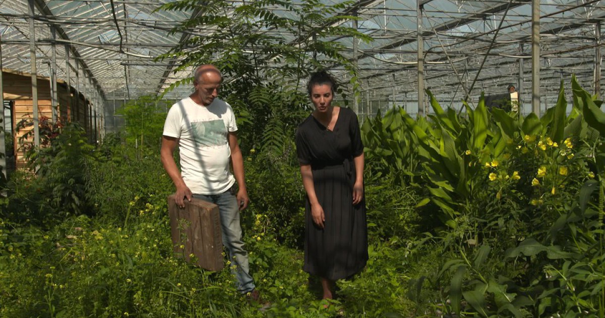 Een wonderplant in Oosteind | BinnensteBuiten