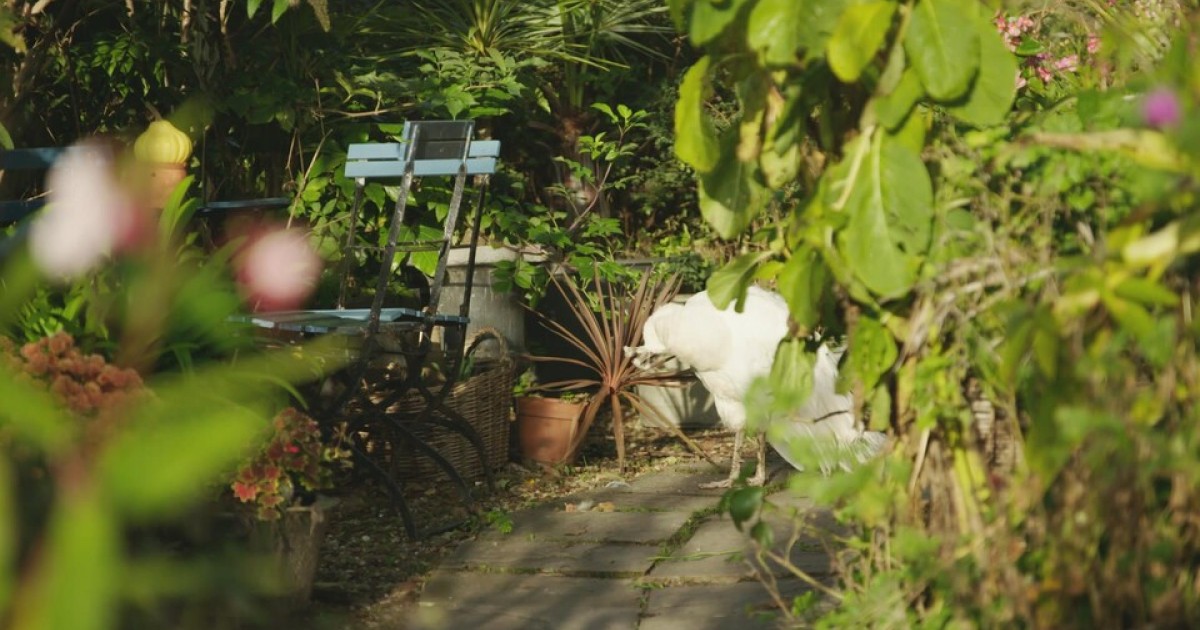 Levenstuinen Teuge | BinnensteBuiten