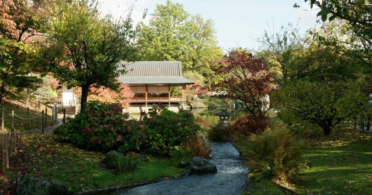 Reis door de grootste Japanse tuin van Europa in Hasselt BinnensteBuiten