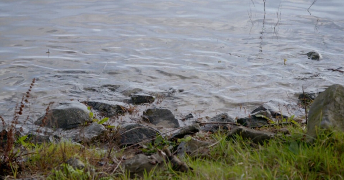 9 januari 2024 | BinnensteBuiten