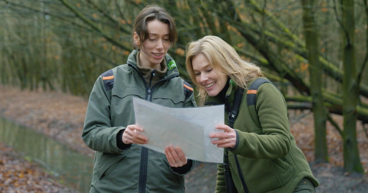 Het bijzondere bos de Balij in Zoetermeer | BinnensteBuiten