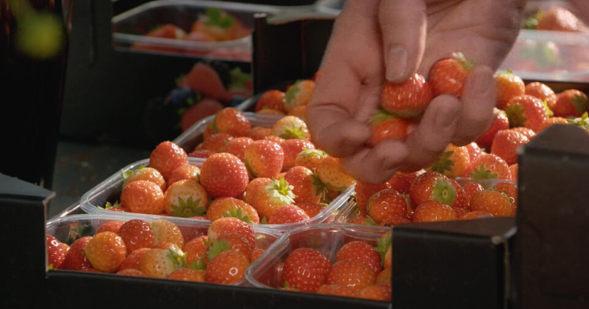 Charlotte maakt spreads van afgedankt fruit en groente | BinnensteBuiten