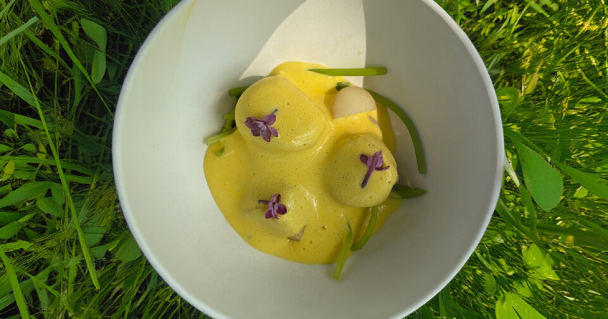 Coquilles st. Jacques met sabayon van Japans duizendknoopbier | BinnensteBuiten