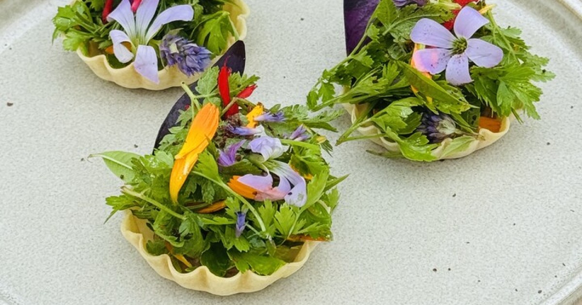 Krokante tartelettes met noten-tofucrème en verse kruiden | BinnensteBuiten
