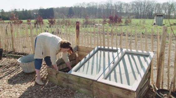 De zaailingen en jonge planten kunnen met pot en al in de koude bak afharden 
