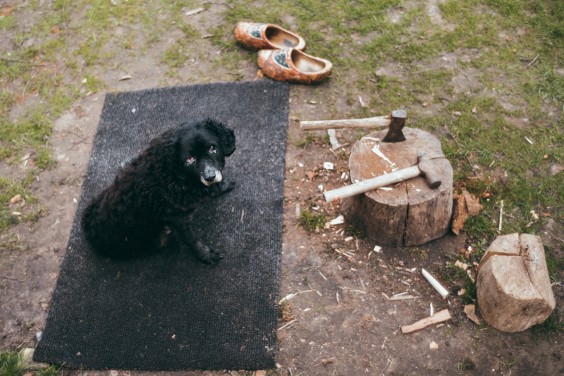 Hout hakken voor de kachel | foto: Marjon Lukje