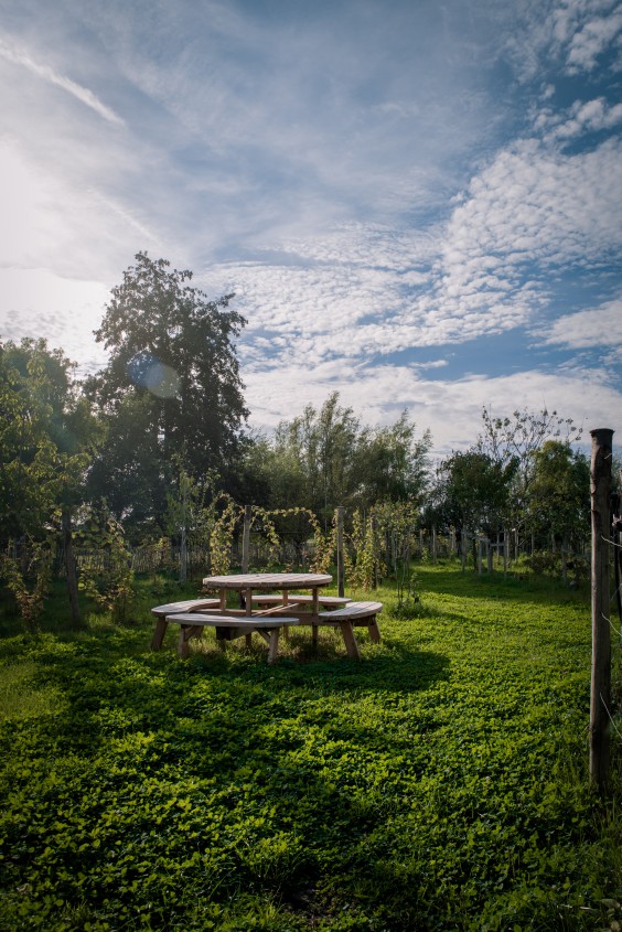 Veel groen om het huis | Foto: Sheena Schouwink