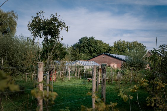 Veel ruimte rondom het huis | Foto: Sheena Schouwink