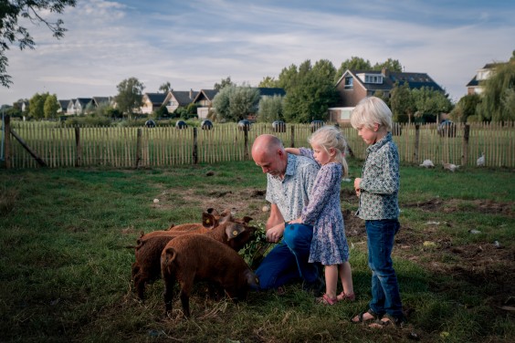 De varkens op het erf | Foto: Sheena Schouwink