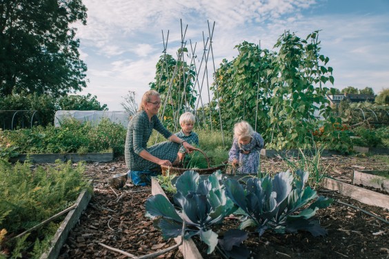 De moestuin van de familie | Foto: Sheena Schouwink