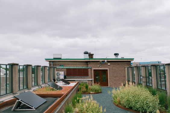 Blauw-groen dak in Amsterdam | Foto: Sheena Schouwink