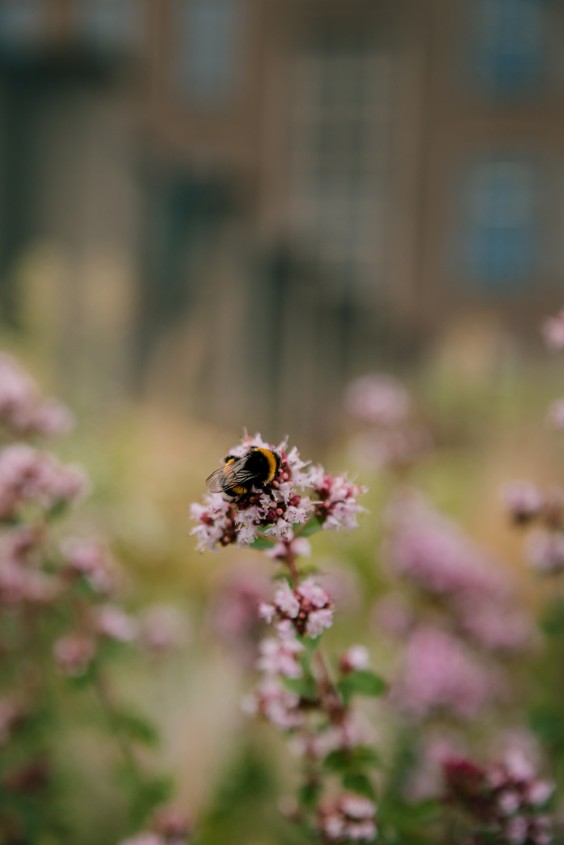Duurzame lifestyle expert Marieke neemt een kijkje op een blauw-groen dak| Foto: Sheena Schouwink