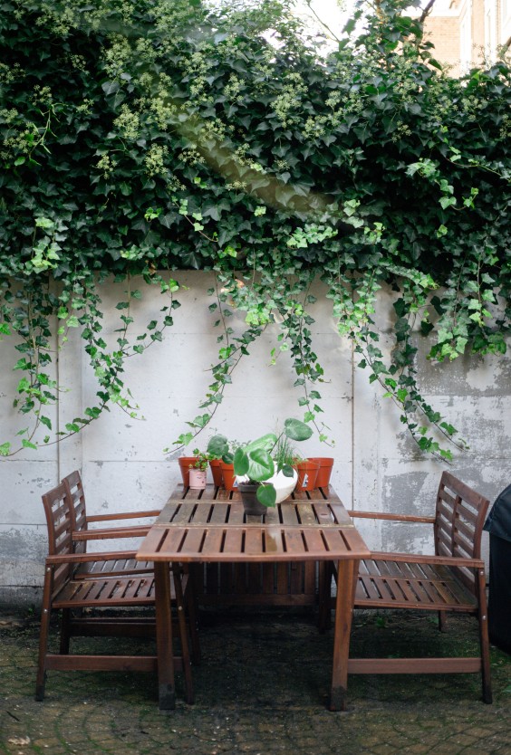 Beschutting in de Haagse binnentuin van Anne | Foto: Roos Eijmers