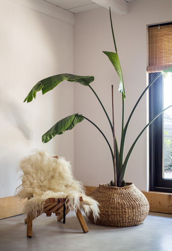 Boerderij met zwemvijver Giessenburg | Foto: Roos Eijmers