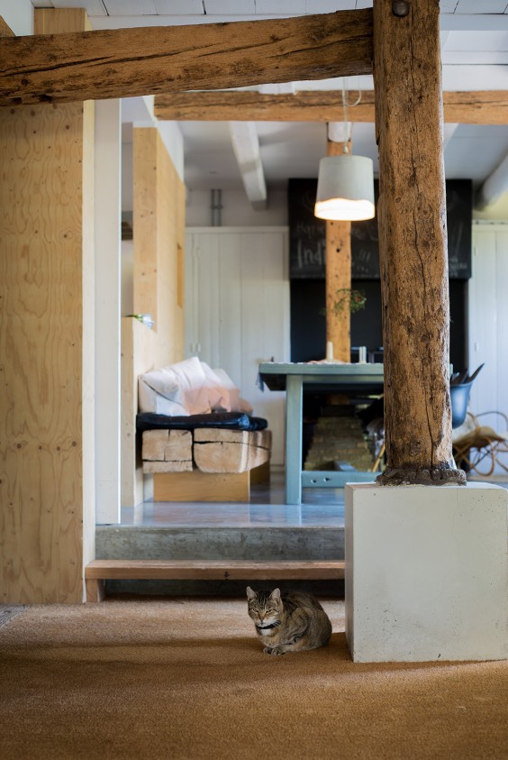 Boerderij met zwemvijver Giessenburg | Foto: Roos Eijmers