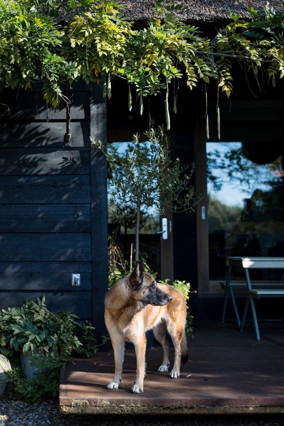 Boerderij met zwemvijver Giessenburg | Foto: Roos Eijmers