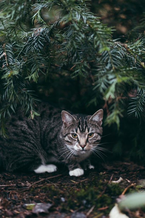  ze kunnen helemaal hun eigen gang gaan | Fotografie: Marjon Lukje