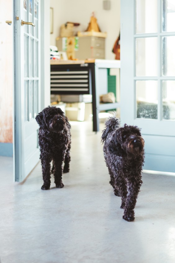 Duurzame school in Blesdijke - Foto: Marjon Lukje