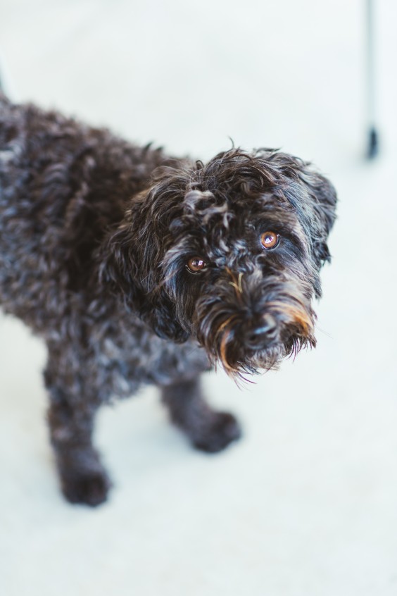 Duurzame school in Blesdijke - Foto: Marjon Lukje