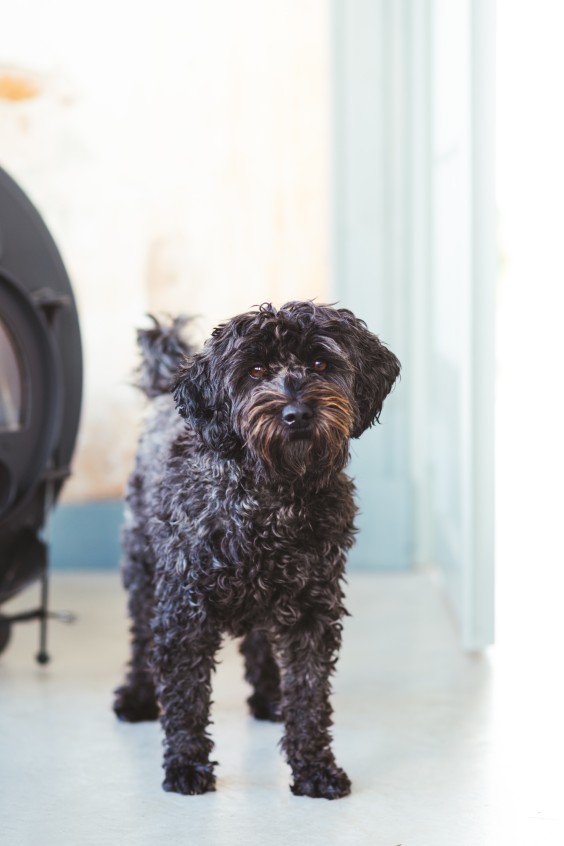 Duurzame school in Blesdijke - Foto: Marjon Lukje