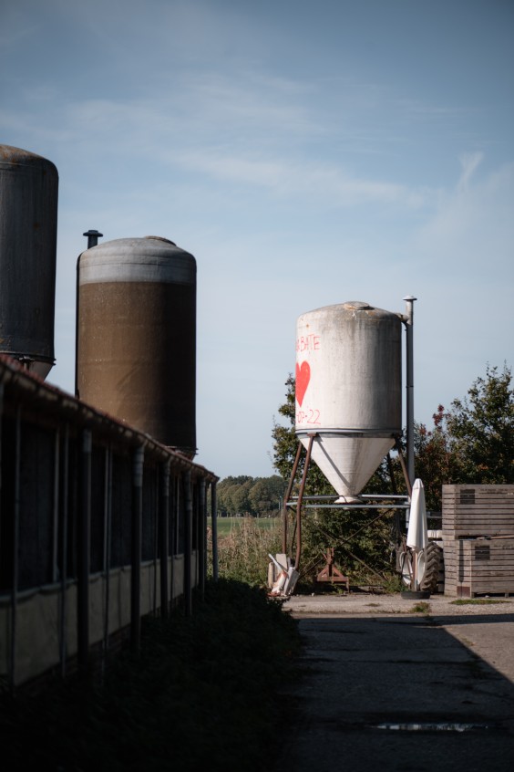 Op de boerderij van Welmoed en Regina | Foto: Marjon Lukje