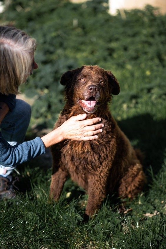 Op de boerderij van Welmoed en Regina | Foto: Marjon Lukje