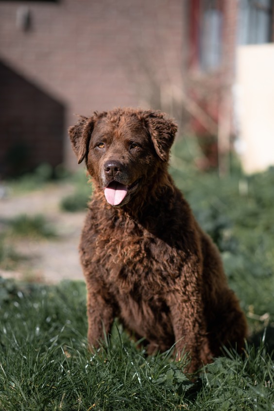 Op de boerderij van Welmoed en Regina | Foto: Marjon Lukje