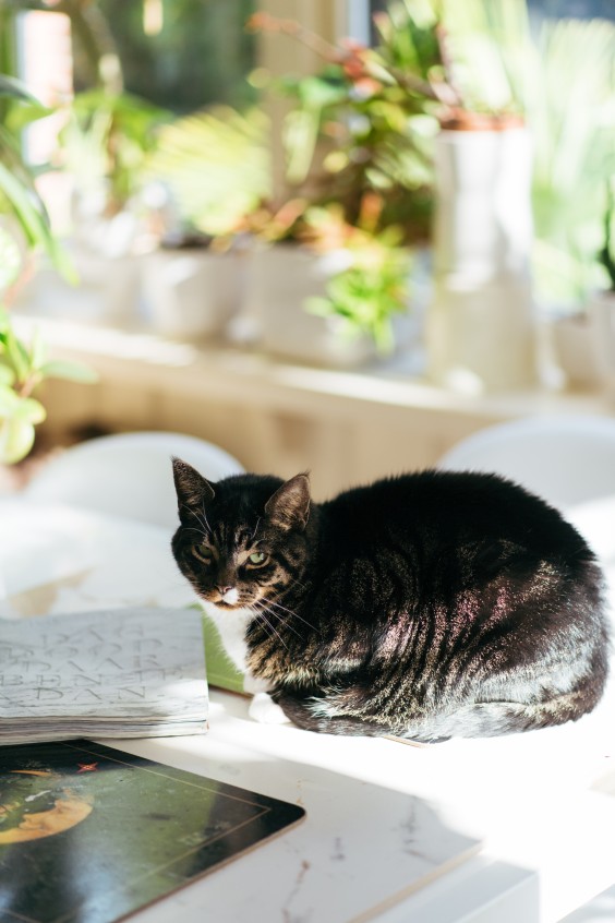 Art deco woning Veendam | Fotografie: Marjon Lukje