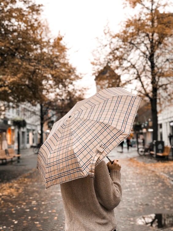 Herfstfoto | Foto: Pexels