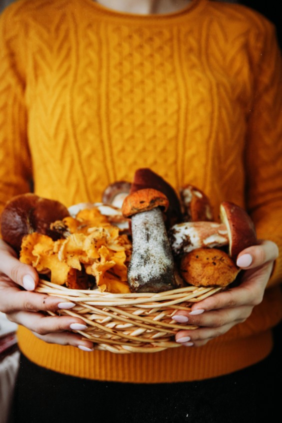 Herfstfoto | Foto: Pexels