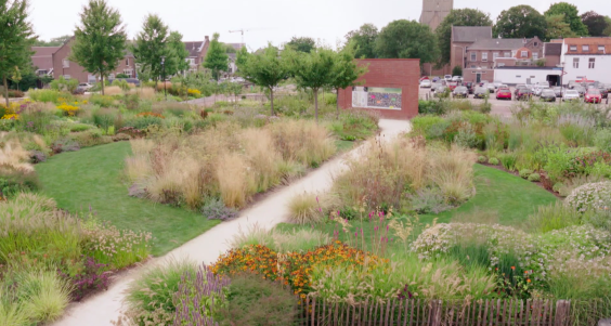 De vlindertuin in Tiel | Afbeelding uit de uitzending