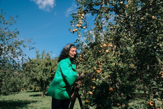 Vegan honing in Strijen | Fotografie: Sheena Schouwink