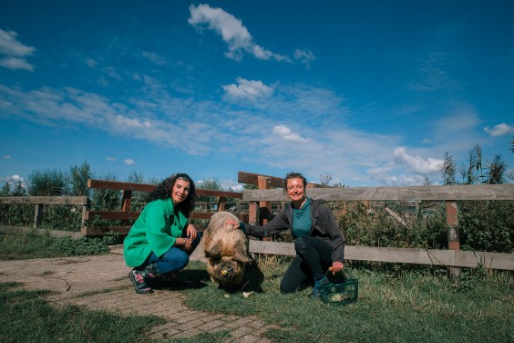 Vegan honing in Strijen | Fotografie: Sheena Schouwink