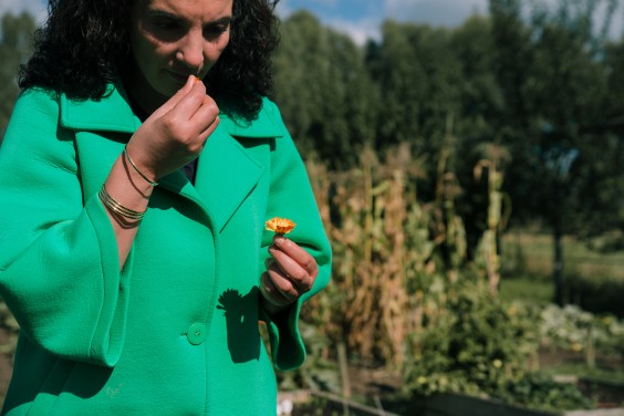 Vegan honing in Strijen | Fotografie: Sheena Schouwink