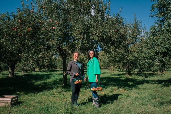 Vegan honing in Strijen | Fotografie: Sheena Schouwink