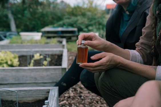Vegan honing in Strijen | Fotografie: Sheena Schouwink