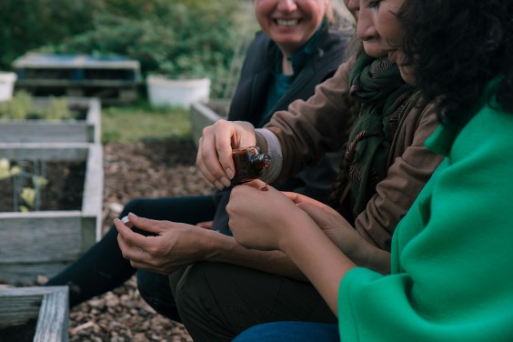 Vegan honing in Strijen | Fotografie: Sheena Schouwink