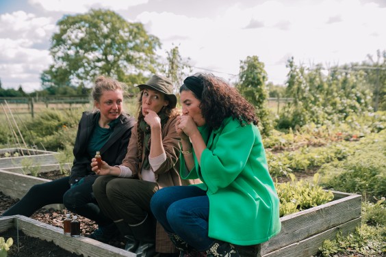 Vegan honing in Strijen | Fotografie: Sheena Schouwink