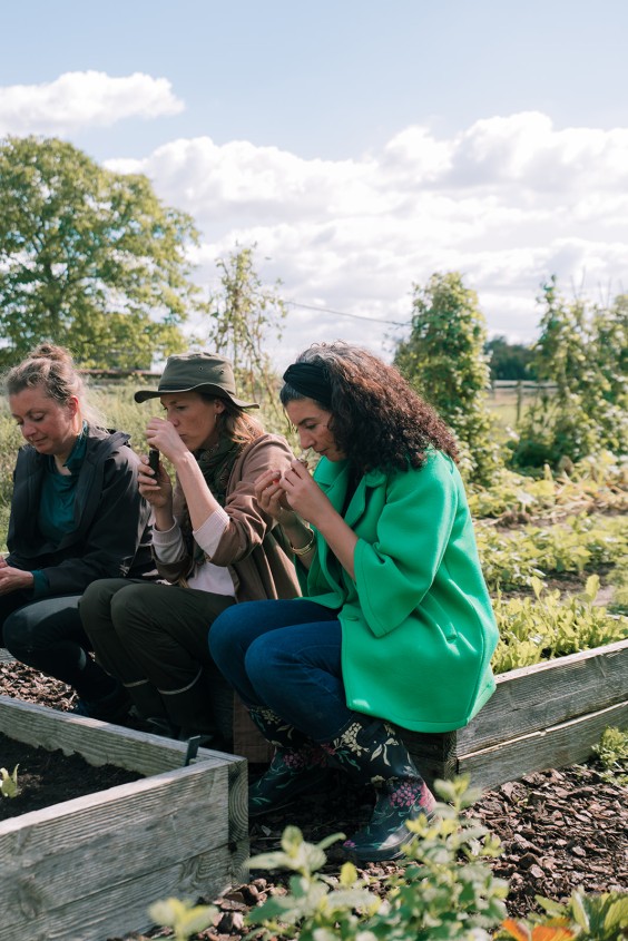 Vegan honing in Strijen | Fotografie: Sheena Schouwink