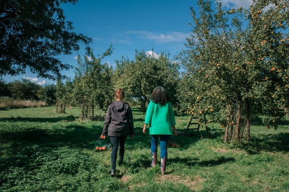 Vegan honing in Strijen | Fotografie: Sheena Schouwink